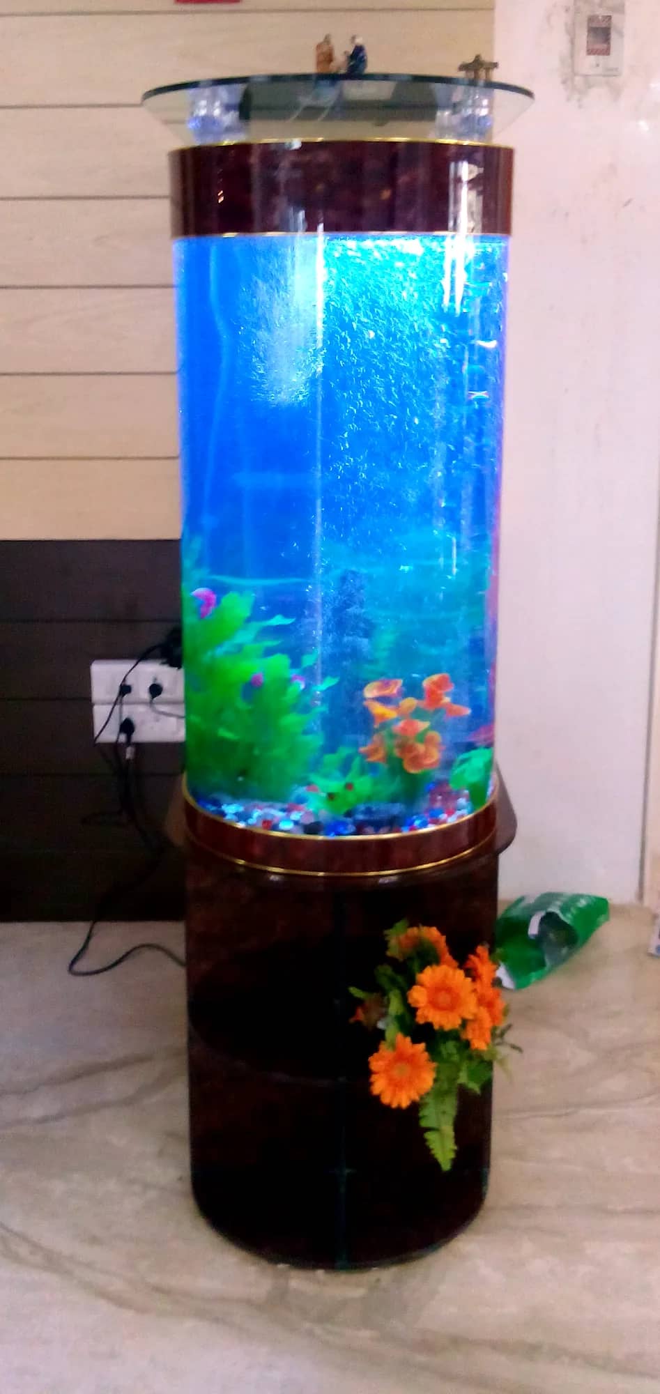 Tall cylindrical aquarium on a wooden base in the same lobby