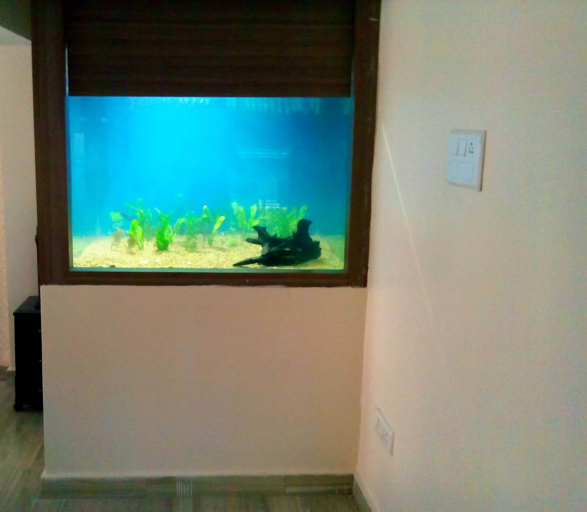 The wall aquarium fitted into its opening before the panelling went up