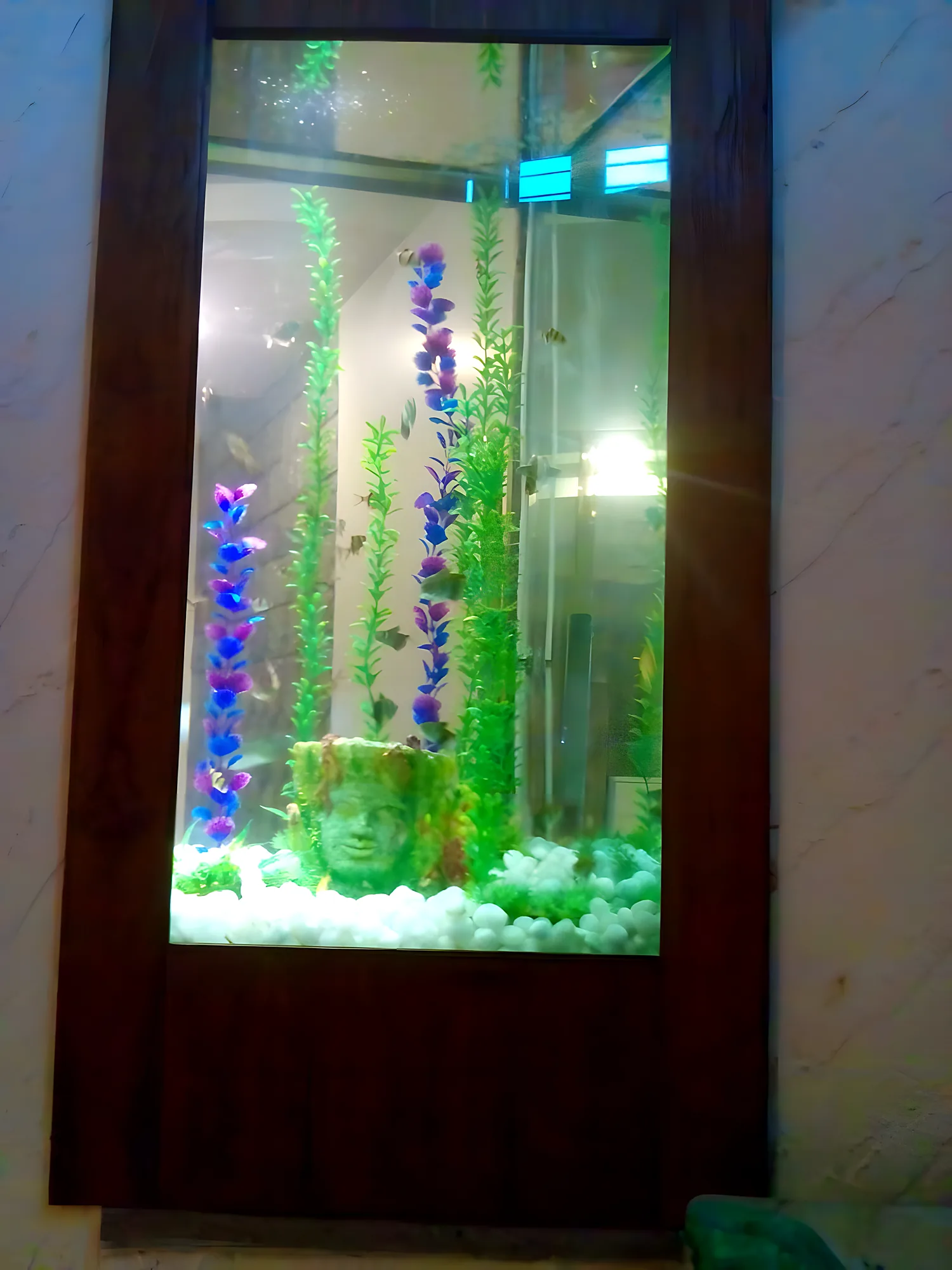 Close view of a framed wall aquarium with a wooden surround