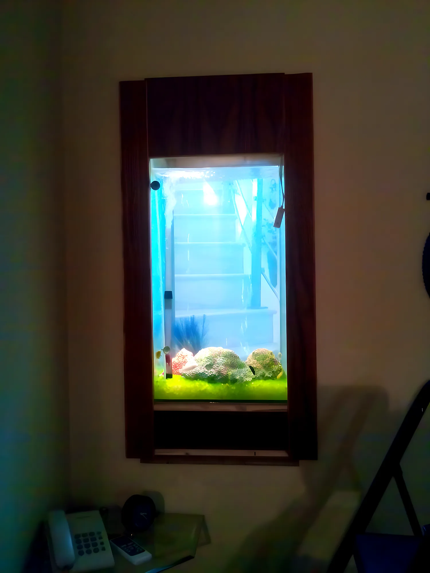 Framed wall aquarium lit up in a dim room