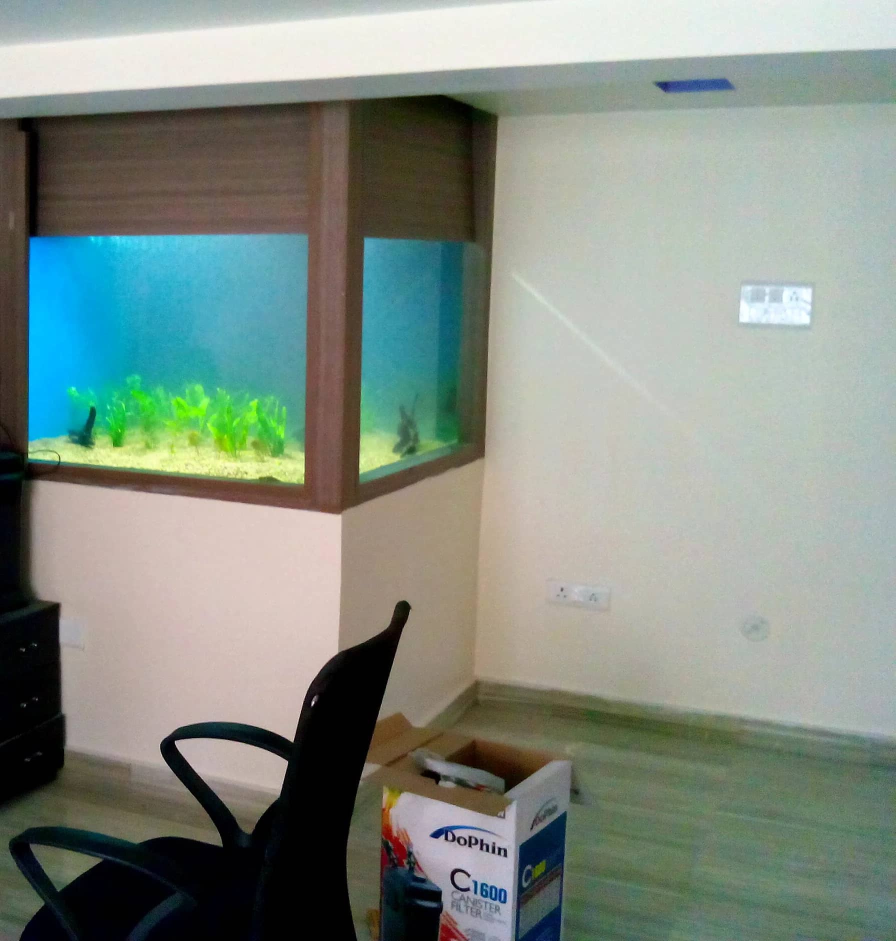 The same wall aquarium during installation, seen from the corner